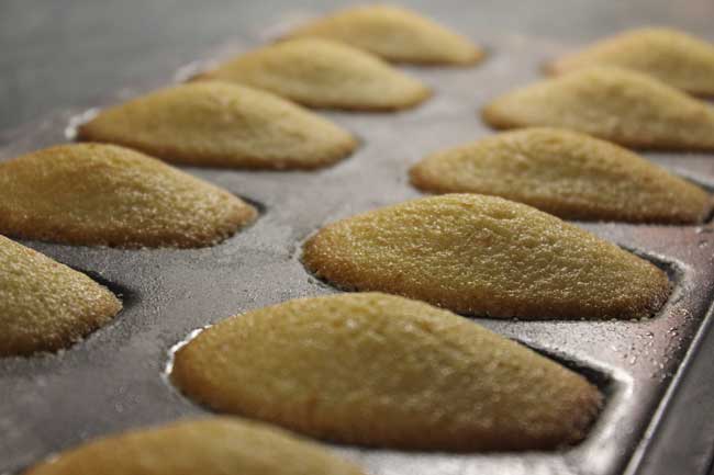 madeleines-cooked