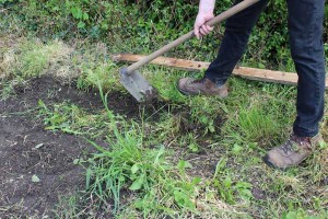 This is a brilliant tool, great for skimming top growth.
