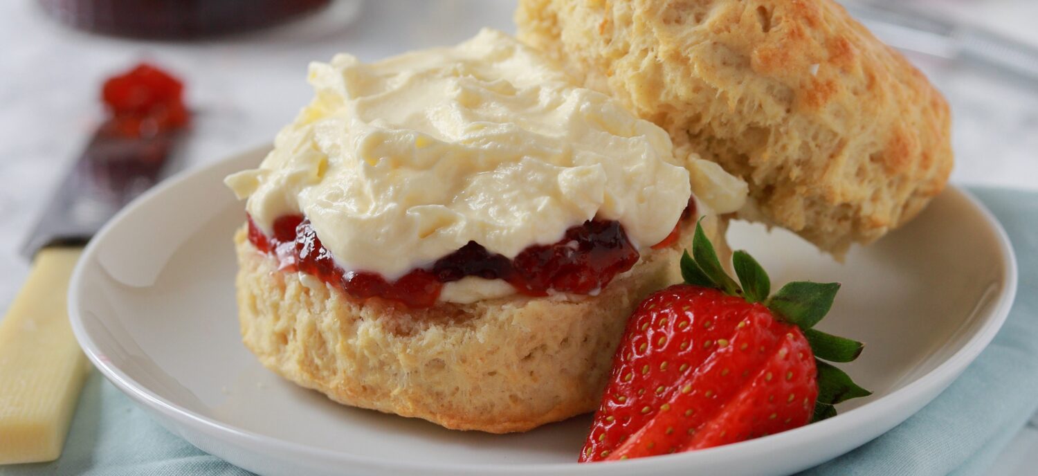 cropped-sconesf5.6-resized.jpg